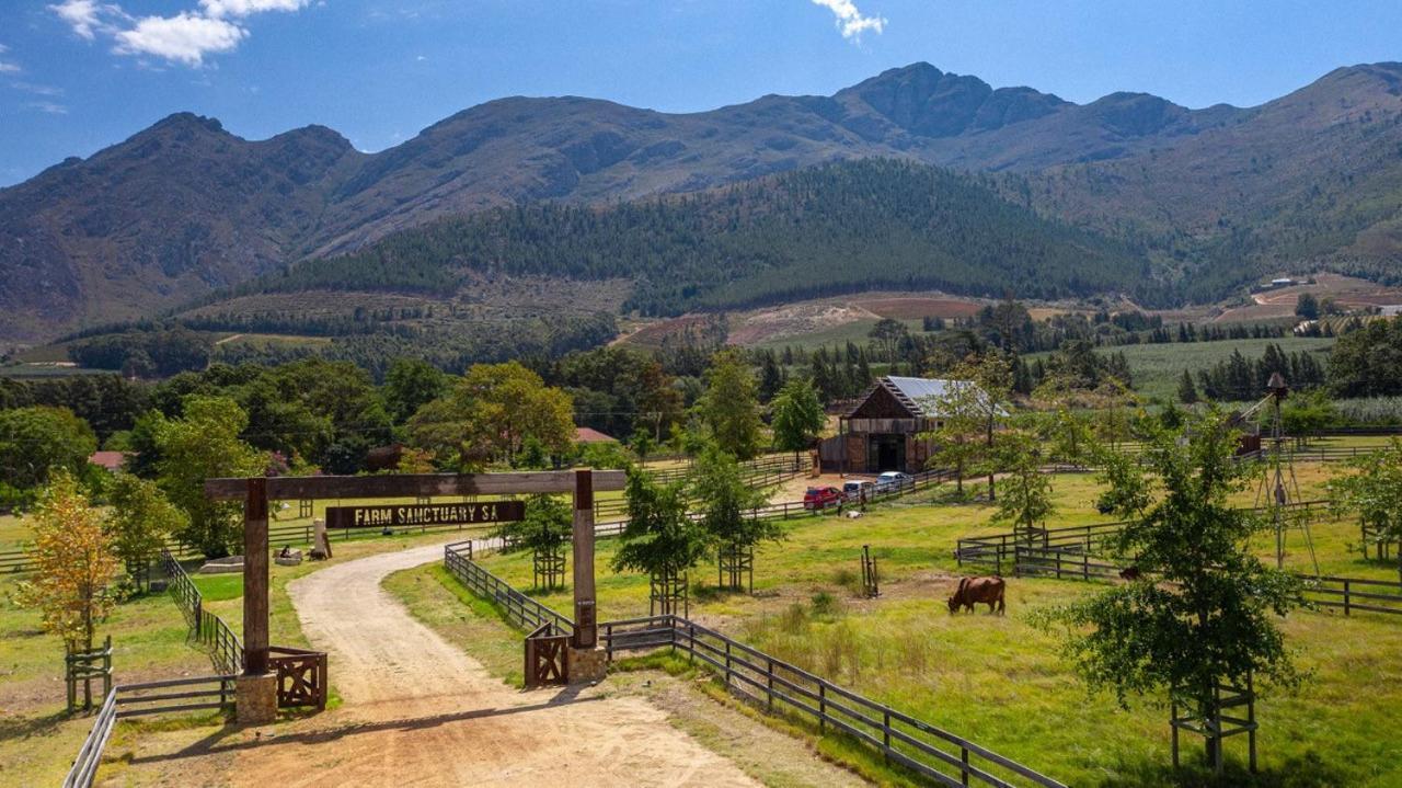 Inspiring Farm Sanctuary And Famous Painting Pig Otel Franschhoek Dış mekan fotoğraf